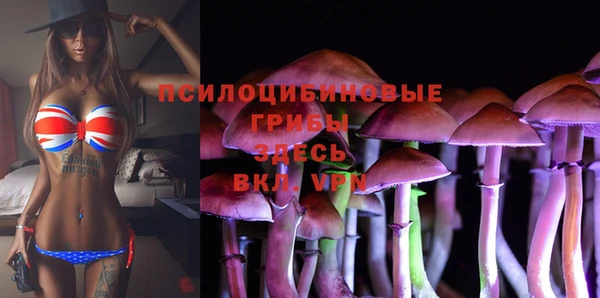 MESCALINE Кинешма