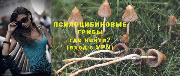MESCALINE Кинешма