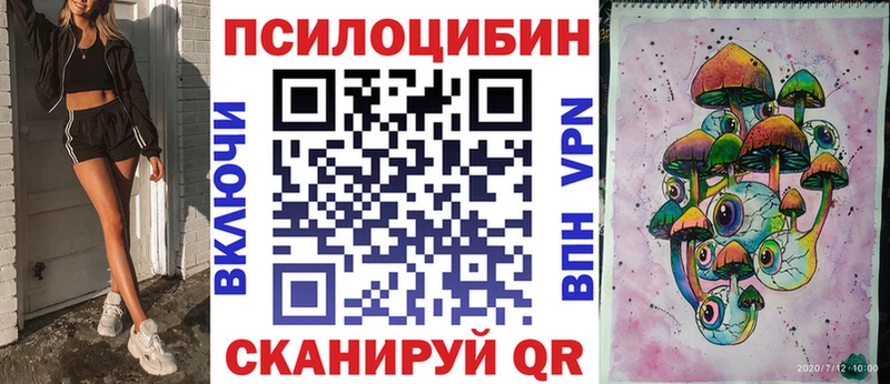 Купить  Жердевка  Псилоцибиновые грибы Cubensis 